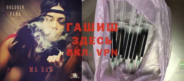 индика Вяземский