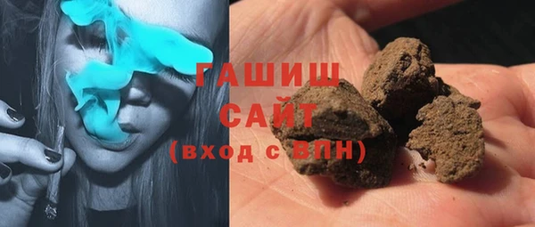 индика Вяземский