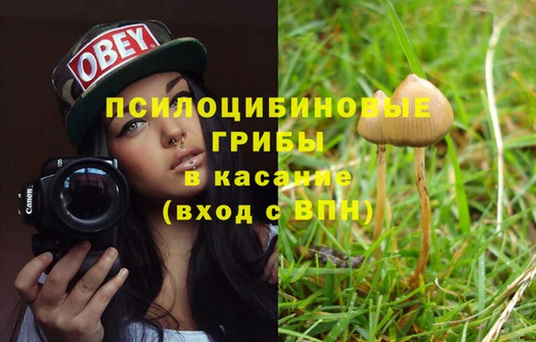 стафф Волосово